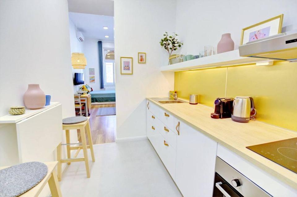 Pau Stylish Studios In The Heart Of 부다페스트 외부 사진